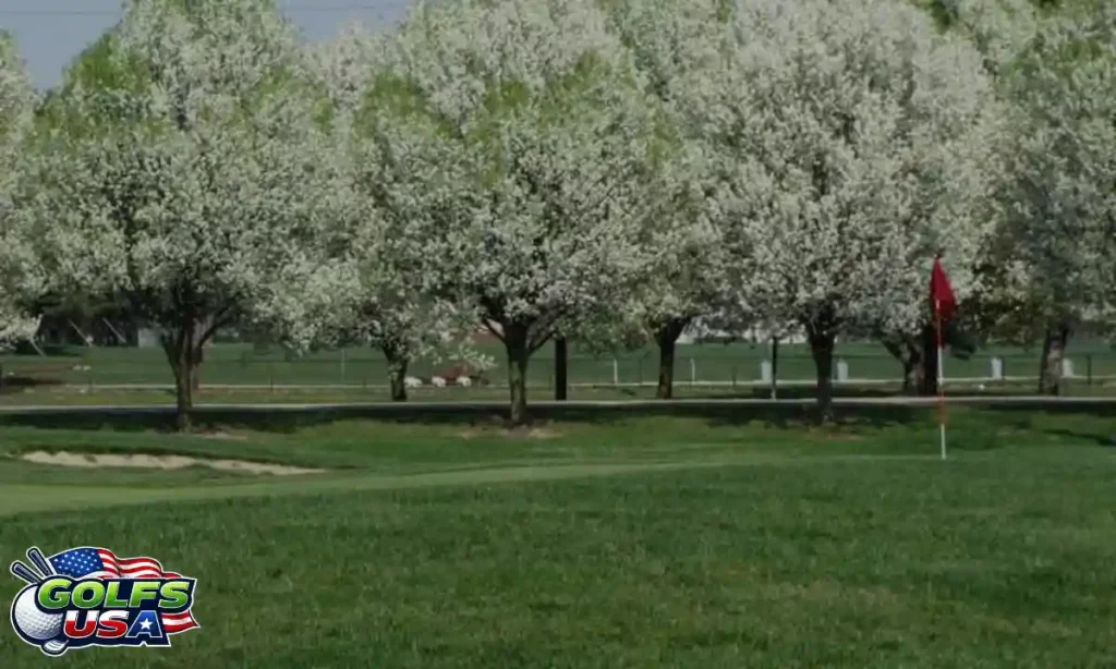 Ideal Visitors for the Course